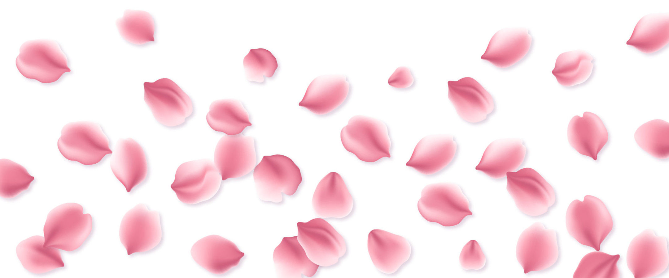 Izlozbeno-okno/pink-roses